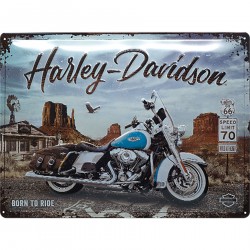 Retro metalowy znak Harley...